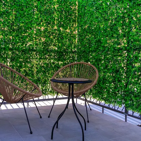 Domus Vivian Guest house *